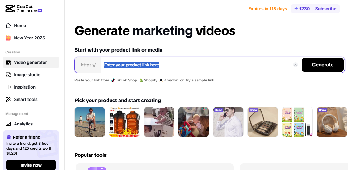 Pippit video generator for creating marketing videos to start a dropshipping store with product links.